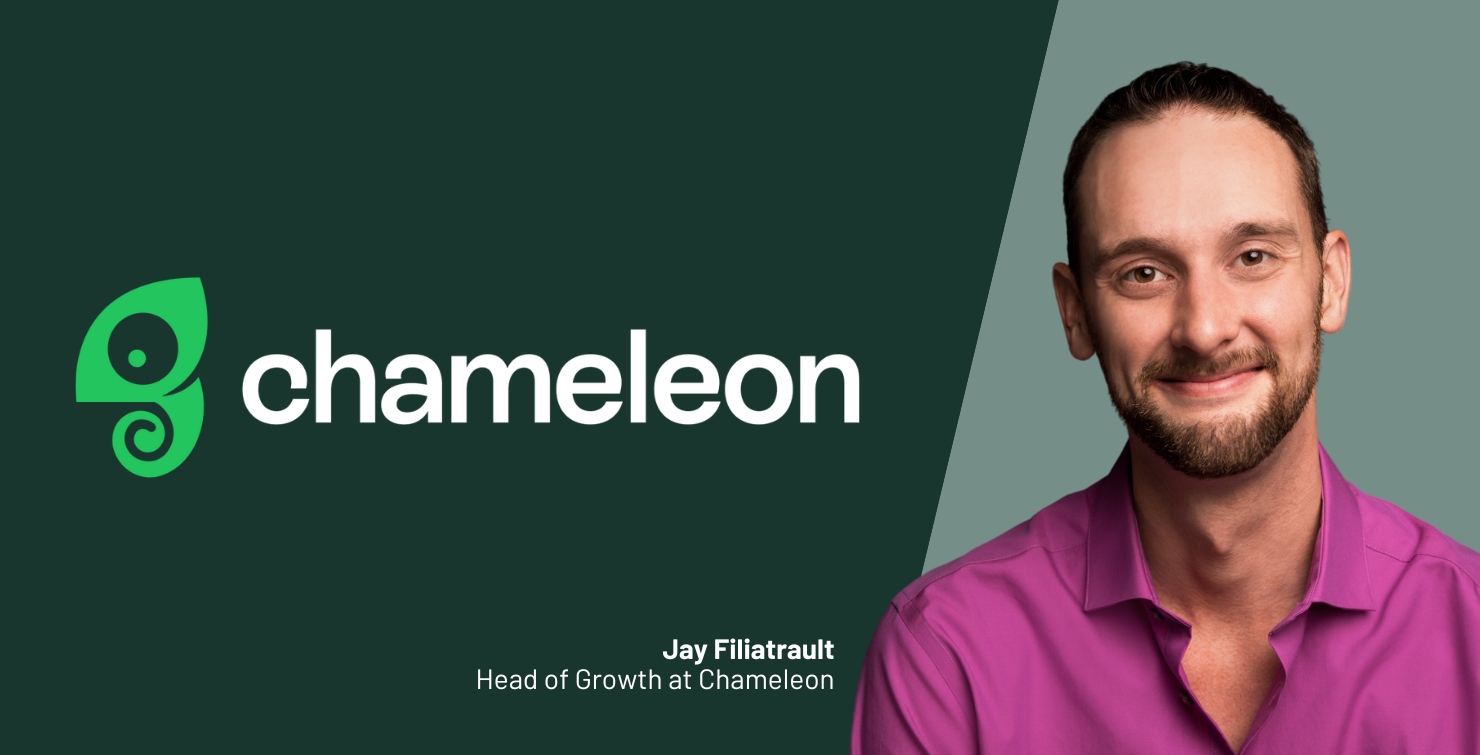 chameleon case study