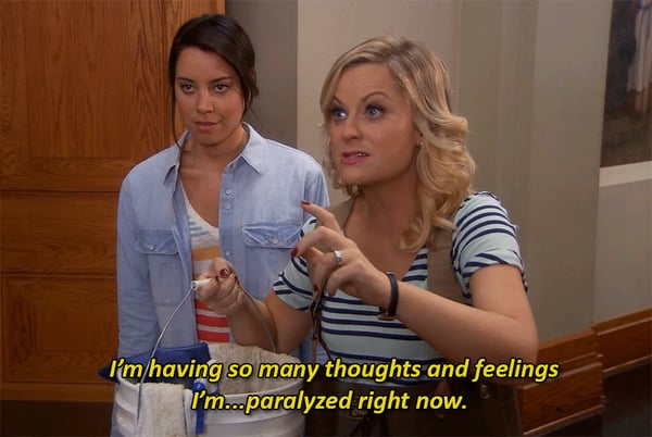 Amy poehler meme