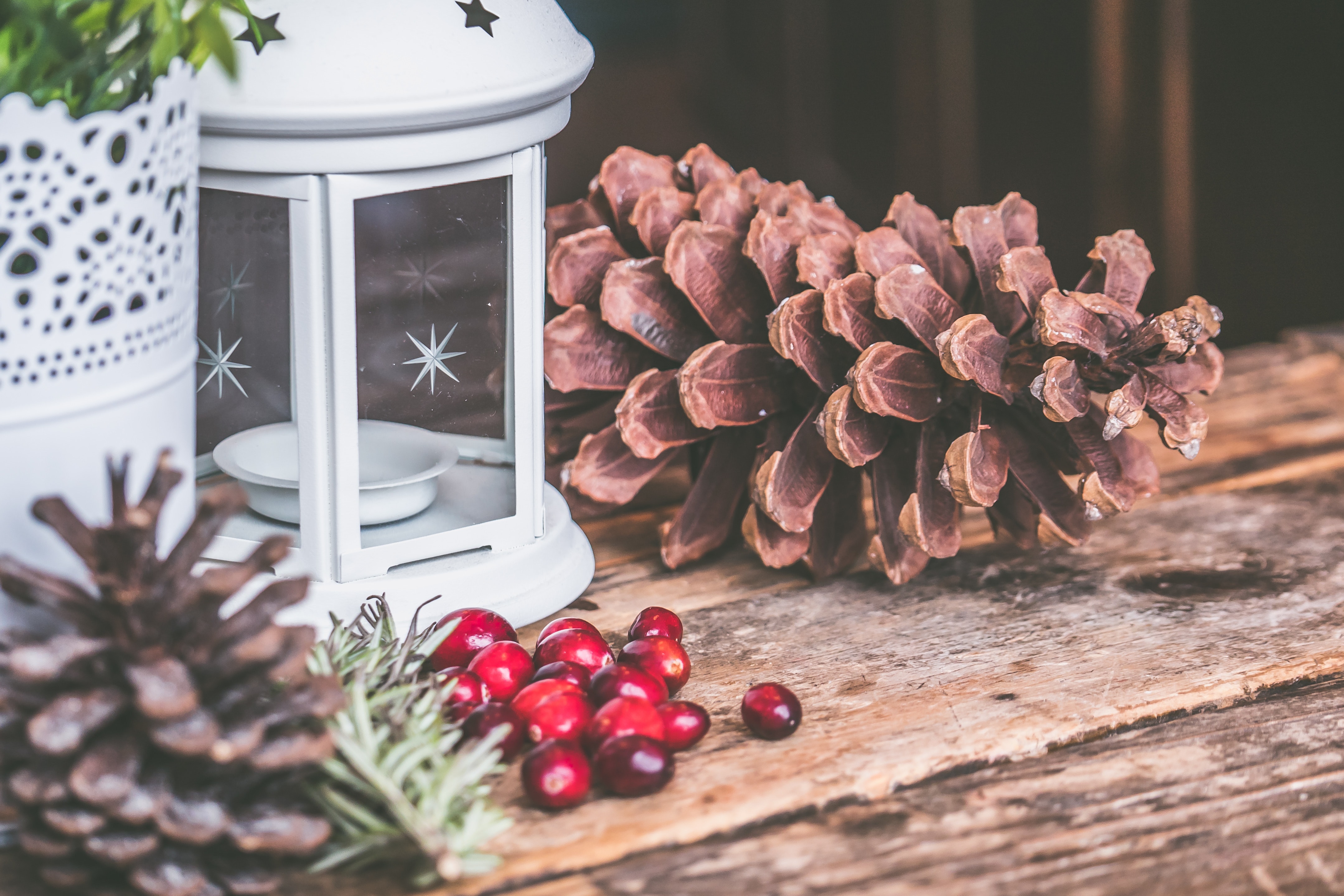How to Incorporate Omnichannel into Holiday Retail Strategy